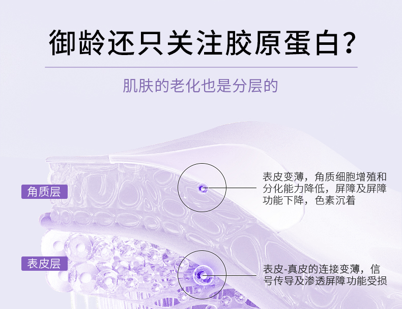  焕迹焕颜紧致抗皱霜